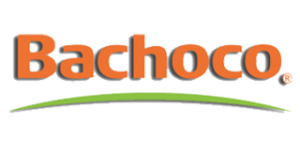 bachoco.png – PIXART 360