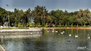 Lee más sobre el artículo Parque de las Esculturas